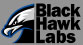 BHL Logo